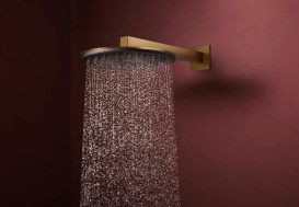 Верхний душ Hansgrohe Raindance Alive S 300 2 режима с держателем бронза 24540140