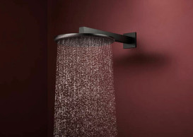 Верхний душ Hansgrohe Raindance Alive S 300 2 режима с держателем черный матовый хром 24540340