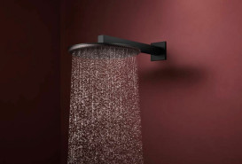 Верхний душ Hansgrohe Raindance Alive S 300 2 режима с держателем черный матовый 24540670