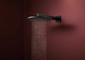 Верхний душ Hansgrohe Raindance Alive S 300 2 режима EcoSmart с держателем черный матовый 24541670