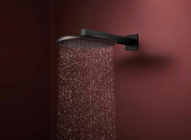 Верхний душ Hansgrohe Raindance Alive S 300 2 режима EcoSmart с держателем черный матовый 24541670