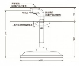 Верхній душ зі стелі TOTO Classic круглий хром DBX120-1CAM