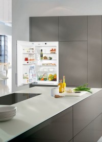 Встраиваемый однокамерный холодильник Liebherr EK 1620 Comfort сталь белый EK 1620