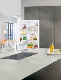 Вбудований однокамерний холодильник Liebherr EK 2324 Comfort сталь білий EK 2324