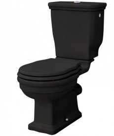 Чаша унітазу-моноблок ArtCeram Hermitage 36х71 см чорний глянсовий HEV008 03; 00