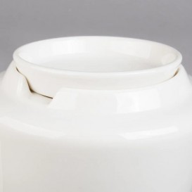 Чайник з кришкою Villeroy & Boch Affinity 0.4 л білий 16-4004-0220