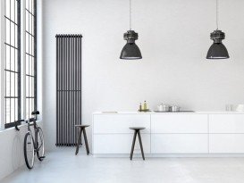 Дизайнерський радіатор Betatherm Praktikum 2 180х27,3 см сталь чорний PV 2180/07 9005M 99