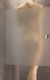 Душевая дверь Radaway Eos DWJ 100 профиль хром стекло интимато 37923-01-12N