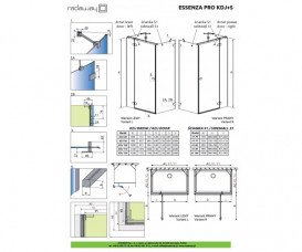 Душевая дверь Radaway Essenza Pro Gold KDJ+S распашная 110х200 см правая золото/прозрачное стекло 10097311-09-01R