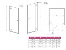Душевая дверь Radaway Fuenta DWJ 120 правая хром/стекло графит 381016-05NR