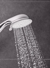 Душевая лейка Grohe New Tempesta Rustic 100 4 вида струи хром 26085001