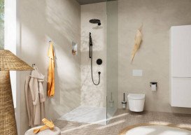 Душевая лейка Hansgrohe Pulsify S 100 1jet EcoSmart+ матовый черный 24126670