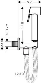 Гигиенический душ Hansgrohe Axor 1jet для холодной воды со шлангом и держателем матовый никель 29240820