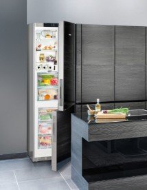 Холодильник двокамерний Liebherr CBNPgb 4855 Premium BioFresh NoFrost скло/сталь чорний CBNPgb 4855-20 001