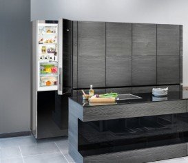 Холодильник двокамерний Liebherr CBNPgb 4855 Premium BioFresh NoFrost скло/сталь чорний CBNPgb 4855-20 001