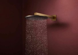Лейка для верхнего душа Hansgrohe Raindance Alive S 300 1 режим EcoSmart бронза 24521140