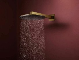 Лейка для верхнего душа Hansgrohe Raindance Alive S 300 1 режим EcoSmart золото 24521990