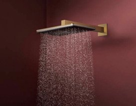 Лійка для верхнього душу Hansgrohe Raindance Alive Q 34х21 см 1 режим бронза 24530140