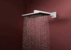 Лейка для верхнего душа Hansgrohe Raindance Alive Q 34х21 см 1 режим белый матовый 24530700