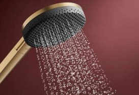 Ручной душ на штанге Hansgrohe Raindance Alive Select S 90 см 3 режима EcoSmart бронза 24603140