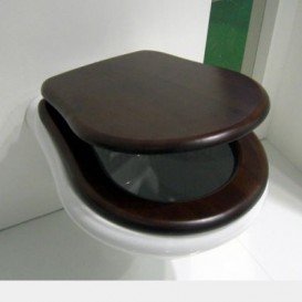 Сиденье с крышкой для унитаза Kerasan Retro орех петли золото 109140