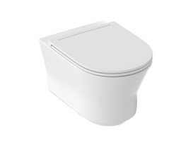 Сиденье с крышкой для унитаза Ravak Ypsilon S Soft-Close дюропласт белый X03089