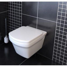 Сиденье с крышкой для унитаза Roca Dama-N с анти-бактериальной структурой Soft-Close дюропласт белый A80178C004