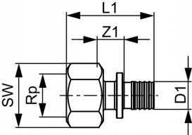 З'єднання пряме Tece TECEflex з внутрішнім різьбленням 25xRp 3/4 бронза 705105