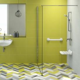 Стенка душевая Kolo Geo Walk-in 80х200 см серебряный блеск/прозрачное стекло Reflex 560.119.00.3