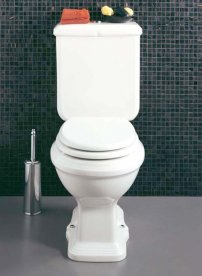 Унитаз-компакт напольный Simas коллекция Arcade AR 821