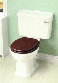 Унітаз компакт Volle De Grandes білий з сидінням Slow-closing венге 13-13-132