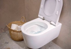 Унитаз подвесной Hansgrohe EluPura S AquaFall Flush 36х54 см керамика SmartClean белый 61118450