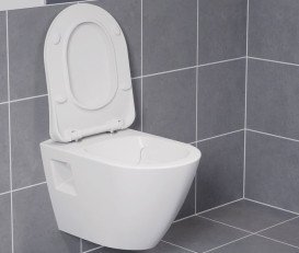 Унитаз подвесной Ravak Endo RimOff 35х50 см керамика белый X01933