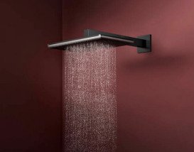 Верхний душ Hansgrohe Raindance Alive Q 34х21 см 2 режима с держателем черный матовый хром 24550340