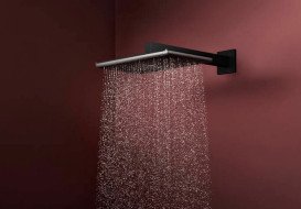 Верхний душ Hansgrohe Raindance Alive Q 34х21 см 2 режима с держателем черный матовый 24550670