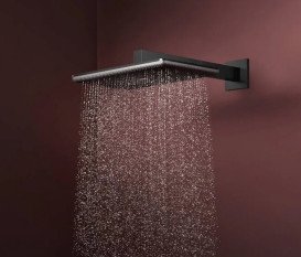 Верхний душ Hansgrohe Raindance Alive Q 34х21 см 2 режима EcoSmart с держателем черный матовый 24551670