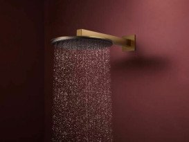 Верхній душ Hansgrohe Raindance Alive S 300 2 режими EcoSmart із тримачем бронза 24541140