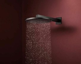 Верхній душ Hansgrohe Raindance Alive S 300 2 режими EcoSmart з тримачем чорний матовий хром 24541340