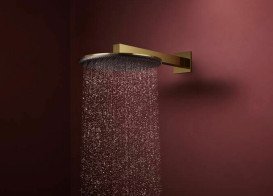 Верхний душ Hansgrohe Raindance Alive S 300 2 режима EcoSmart с держателем золото 24541990