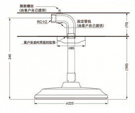 Верхний душ с потолка TOTO Classic круглый хром DBX120-1CAM