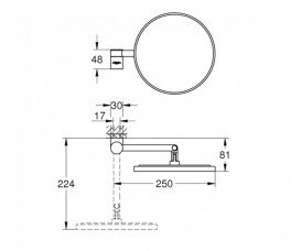 Зеркало косметическое Grohe Selection холодный рассвет матовый 41077GN0