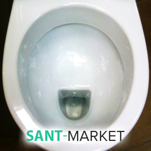 тарільчаста структура унітазу