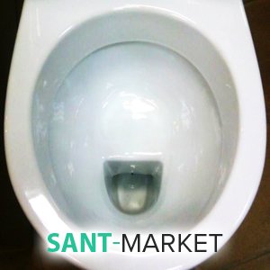 тарільчаста структура унітазу