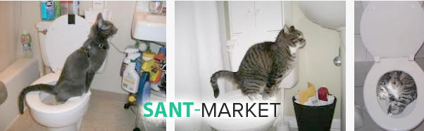  привчаємо кішку до унітазу