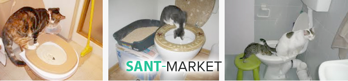 кот и унитаз