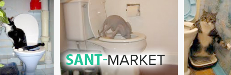 как приучить кота к унитазу