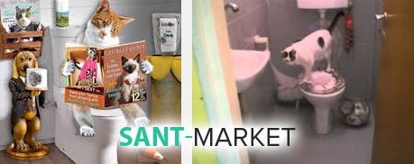 питомцы на унитазе