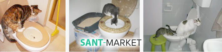  кіт і унітаз