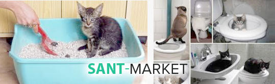  кошеня ходить на лоток