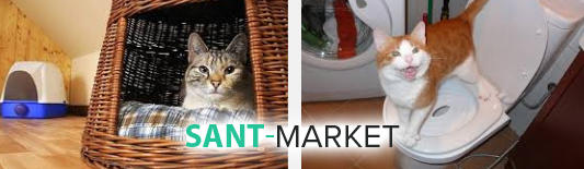 кішка в туалеті